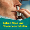 IMIDIN N NASENSPRAY, 10 ml, Aristo Pharma GmbH