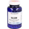 Kalium 200mg GPH Kapseln, 120 Stk., Hecht-Pharma GmbH