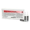 CALIMER GASTREU R34 INJEKT, 10x2 Milliliter, Dr.Reckeweg & Co. GmbH