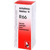 ARRHYTHMIE GASTREU N R66, 50 ml, Dr.Reckeweg & Co. GmbH