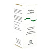 POPULUS CP-Fluid, 100 ml, ISO-Arzneimittel GmbH & Co. KG