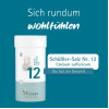 Biochemie Pfl&uuml;ger Nr. 12 Calcium sulfuricum D 6, 400 st, Hom&ouml;opathisches Laboratorium Alexander Pfl&uuml;ger GmbH & Co. KG