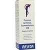 Prunus spinosa Summitates D 8, 10 ml, Weleda AG