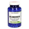 Holunderbeer 350mg GPH Kapseln