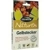 CELAFLOR GELBSTECKER
