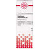 GAULTHERIA PROCUMBENS D 3 Dilution, 20 ml, DHU-Arzneimittel GmbH & Co. KG
