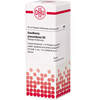 GAULTHERIA PROCUMBENS D 3 Dilution, 20 ml, DHU-Arzneimittel GmbH & Co. KG