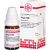 THUJA D100, 10 g, Dhu-Arzneimittel GmbH & Co. KG