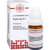 SINAPIS NIGRA D 6, 10 g, Dhu-Arzneimittel GmbH & Co. KG