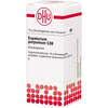 EUPATORIUM PURPUR C30, 10 g, Dhu-Arzneimittel GmbH & Co. KG