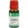 ANACARDIUM ORIENTALE LM 6, 10 Milliliter, ARCANA Dr. Sewerin GmbH & Co. KG