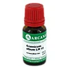 ARSENICUM ALBUM LM 6, 10 Milliliter,  ARCANA Dr. Sewerin GmbH & Co. KG 