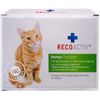 Recoactiv Immun Tonicum f&uuml;r Katzen Kurpackung, 3x90 Milliliter, Recovet GmbH