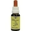 Bachblüten Murnauer Pine Tropfen, 20 Milliliter, MCM KLOSTERFRAU Vertr. GmbH
