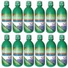 Aloe Vera Saft mit Heidelbeer Saft, 12x1 Liter, Groß GmbH