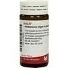 HELLEBORUS NIG E PL TO D12, 20 Gramm, Wala Heilmittel GmbH