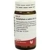 SYMPHYTUM E radice D 6 Globuli, 20 Gramm, WALA Heilmittel GmbH