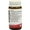 VERATRUM E radice D 4 Globuli
