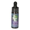 Nicotiana FES kalifornische Blütenessenz