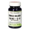 Ginkgo Biloba 160mg+Q-10 GPH Kapseln