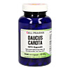 Daucus Carota GPH Kapseln, 120 Stk., Hecht-Pharma GmbH