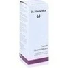 DR.HAUSCHKA Neem Haartonikum