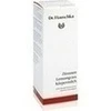 DR.HAUSCHKA Zitronen Lemongrass K&ouml;rpermilch