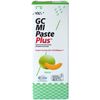 GCMI Paste Plus Melone