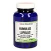 Humulus Lupulus 125 mg GPH Kapseln
