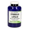 Strobulus Lupulus 125 mg GPH Kapseln