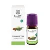 Baldini Eukalyptus BIO Demeter im Umkarton, 5 Milliliter, Taoasis GmbH Natur Duft Manufaktur