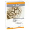 Dia Feli Vet