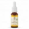 BACHBLUETE 6 CHERRY PL BIO