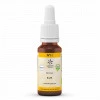 BACHBLUETE 11 ELM BIO