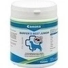 Barfer's Best Junior vet.