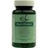 Inulin 420mg