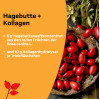 Litozin Hagebutte+Kollagen, 30x25 ml, Queisser Pharma GmbH & Co. KG
