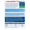 Doppelherz Magnesium + B Vitamine DIRECT, 40 Stk., Queisser Pharma GmbH & Co. KG