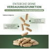 PADMA DigesTib, 60 st, Hager Pharma GmbH