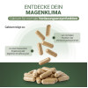 PADMA AciTib, 60 st, Hager Pharma GmbH