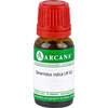 Tamarindus indica LM 7, 10 ml, ARCANA Dr. Sewerin GmbH & Co. KG