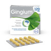 Gingium 120 mg Filmtabletten, 120 Stk., HEXAL AG