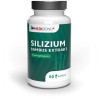 SILIZIUM BAMBUS EXTRAKT
