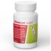 Wobenzym sport