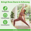 Dr. Jacob's DarmHIT Kieselerde Weihrauch Quercetin Kurkuma, 210 g, Dr. Jacob's Medical GmbH
