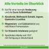 Dr. Jacob's DarmHIT Kieselerde Weihrauch Quercetin Kurkuma, 210 g, Dr. Jacob's Medical GmbH