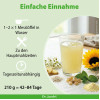 Dr. Jacob's DarmHIT Kieselerde Weihrauch Quercetin Kurkuma, 210 g, Dr. Jacob's Medical GmbH