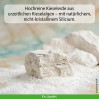 Dr. Jacob's DarmHIT Kieselerde Weihrauch Quercetin Kurkuma, 210 g, Dr. Jacob's Medical GmbH