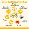 Dr. Jacob's Quercetin-Phospholipid Papain Bromelain Zink, 60 Stk., Dr. Jacob's Medical GmbH