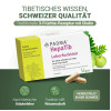 PADMA HepaTib Kapseln, 60 st, Hager Pharma GmbH